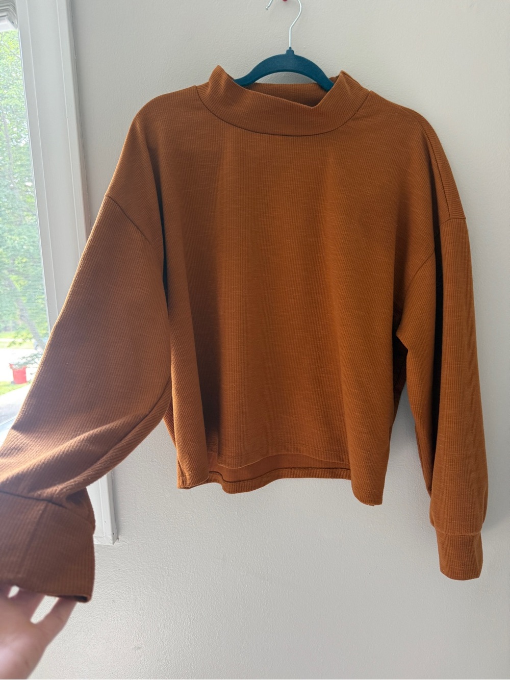 Lily White Cozy Cropped Mock Neck Sweatshirt in Rust Orange